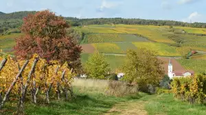 Vojanovy Sady