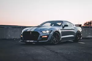 Mustang Boty