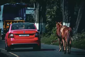 Plašič Kun