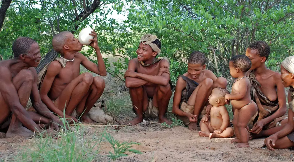 Bushman