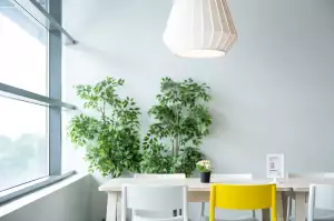 Patrová Postel Ikea