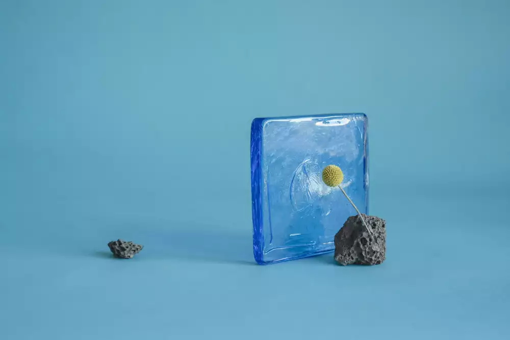 Leonie Brill