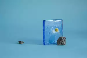 Leonie Brill