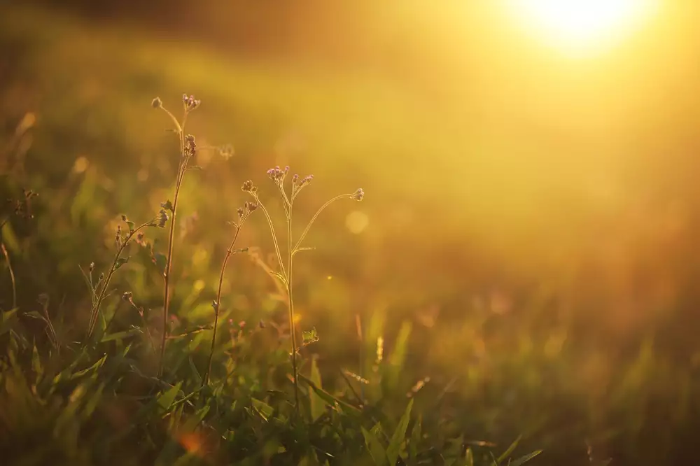 Golden Sun